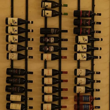 Salento Winery 住宿加早餐酒店 贝瓦尼亚圣彼得
